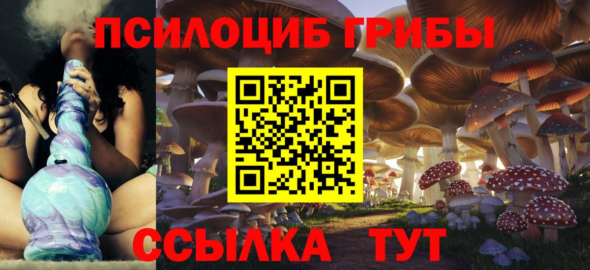 наркошоп  Галлюциногенные грибы Psilocybine cubensis  Вход с VPN  Наро-Фоминск  Галлюциногенные грибы Psilocybe 